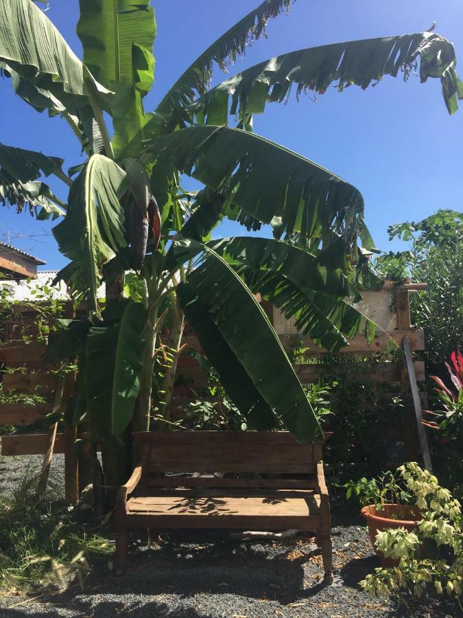 The Bluebamboo Hotel Le Moule Bagian luar foto